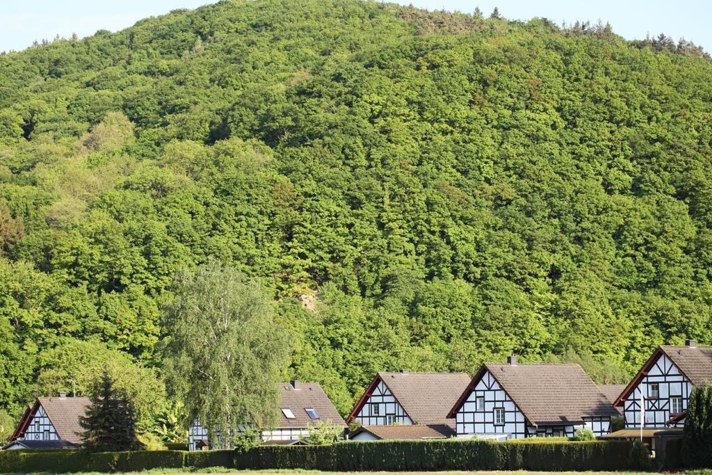 Bos En Kasteel Apartment Нидеген Екстериор снимка
